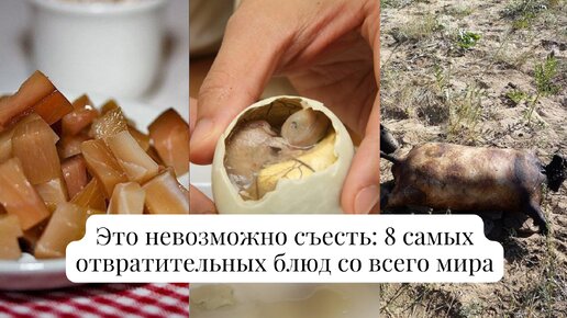 Это невозможно съесть: 8 самых отвратительных блюд со всего мира