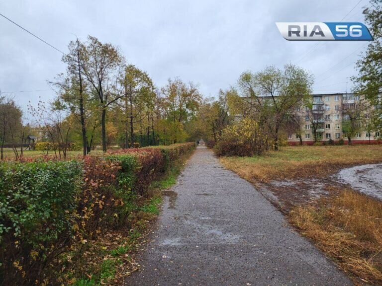    В Оренбуржье в ночь на 25 октября ожидается дождь, мокрый снег и до -5 градусов Кристина Просвиркина