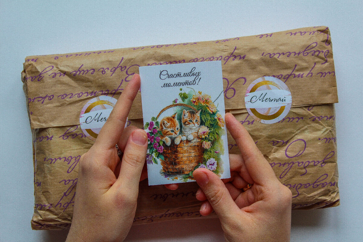 милая открыточка с котятами в подарок