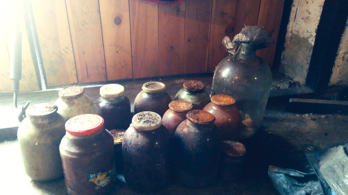 Банки из овощной ямы