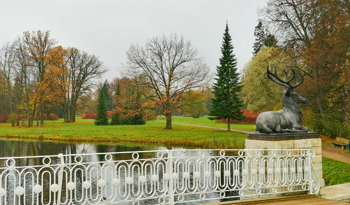 Павловск, 2022 год, фотография из архива автора