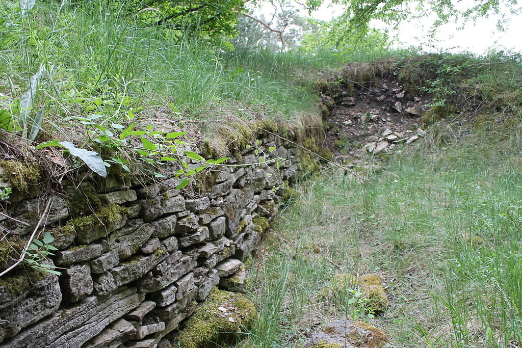 Остатки Сербского рубежа (укреплений) у реки Зале.
