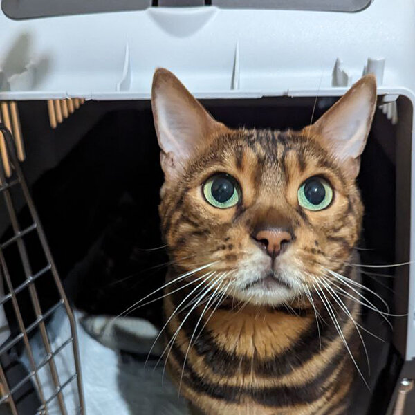 А точно все включено? 