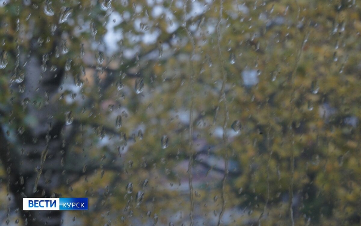    В Курске занимаются ремонтом затопленных во время дождя квартир