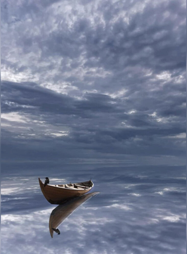 Петрович на перепутье