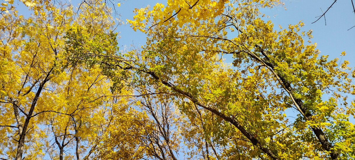 Фото автора канала