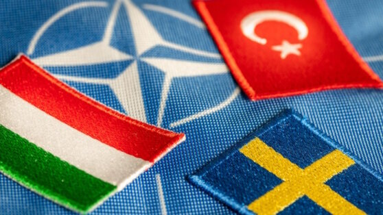    Сийярто: Венгрия не ориентируется на Турцию по вопросу заявки Швеции в НАТО Юлия Шелковенко