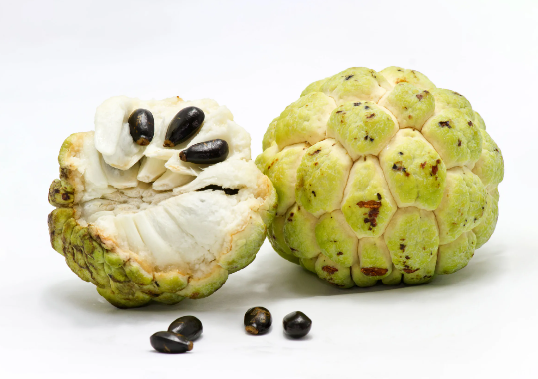 Sugar apple