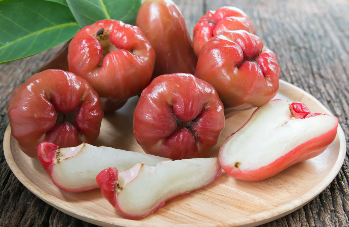 Jambo okx. Jambu фрукт. Jambu фрукт джамбо. Тайское яблоко Чомпу. Чомпу- малабарская слива- розовое яблоко