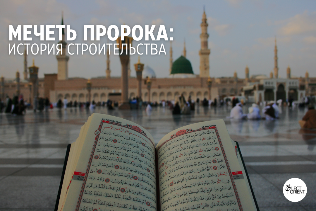 Фото взято из открытого фотостока Canva