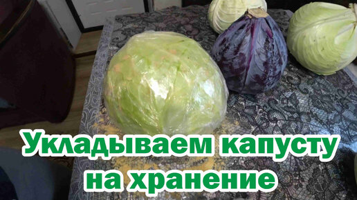 Укладываем капусту на хранение