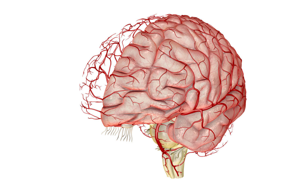 Ангиоспазм сосудов головного мозга. Дисциркуляторная энцефалопатия головного. Улучшение кровоснабжения мозга. Необратимые нарушения головного мозга