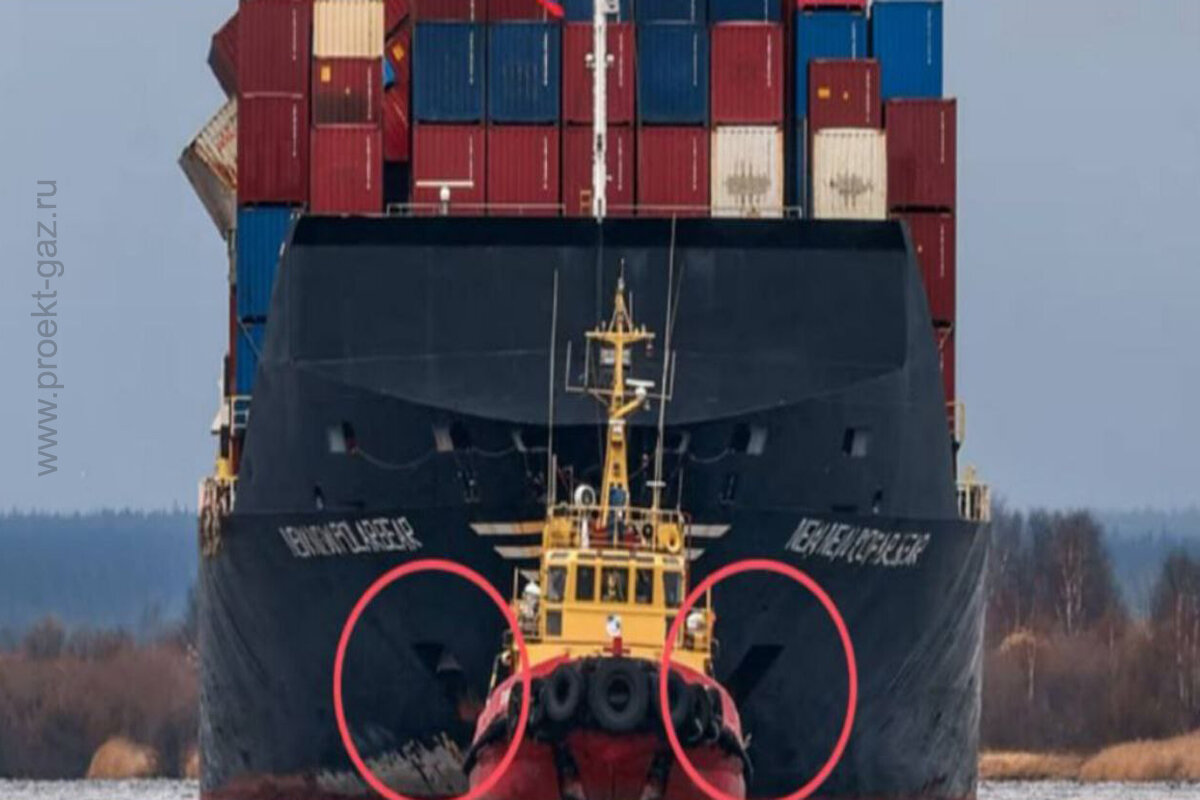 Китайское судно "Newnew Polar Bear"