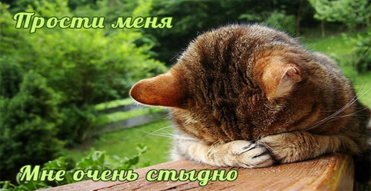 фото из интернета