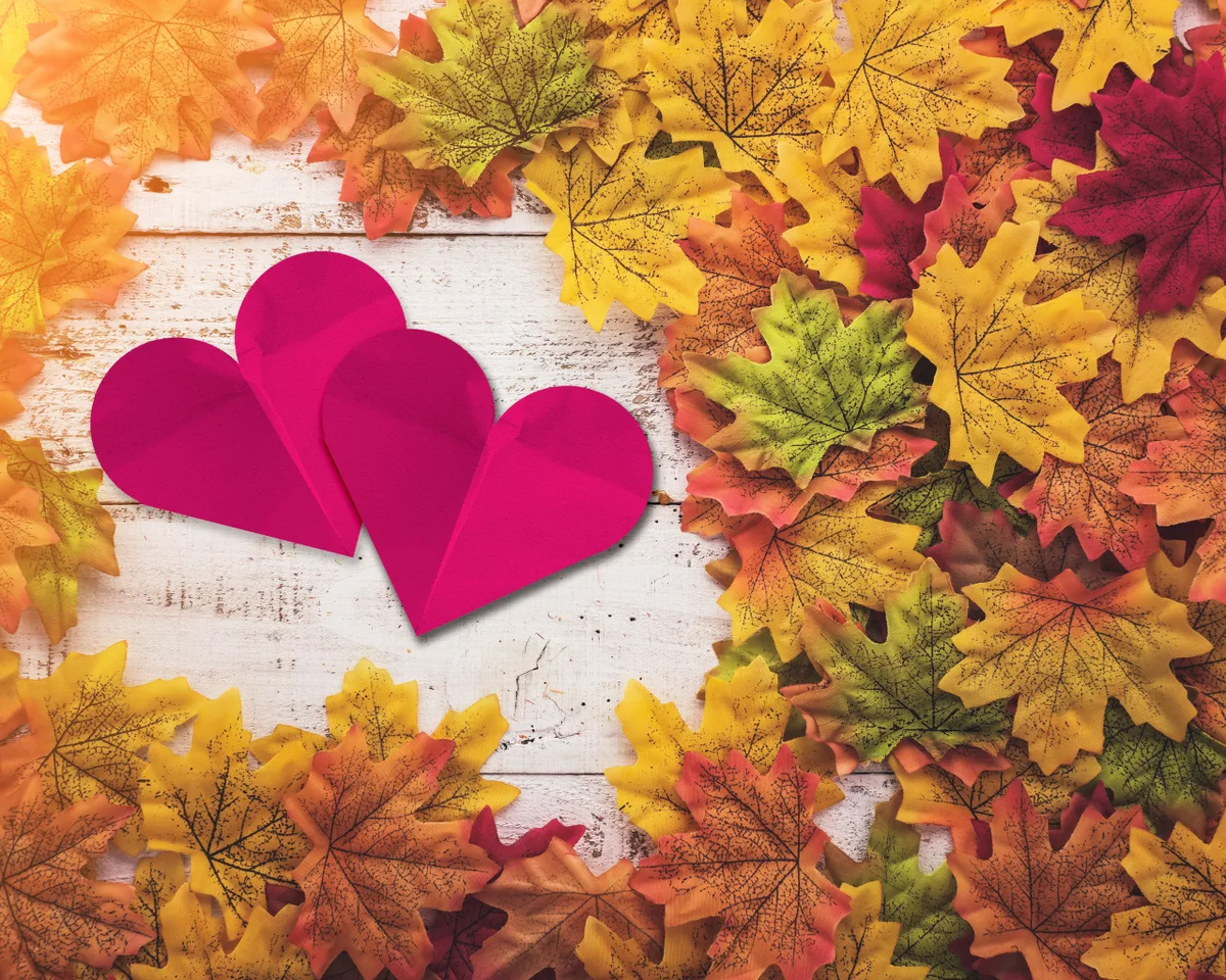 яндекс картинки