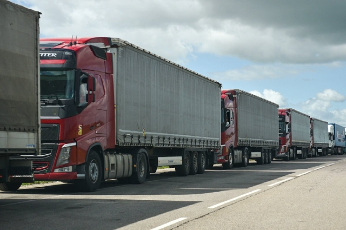    После жалоб перевозчиков на МАПП Чернышевское исчезли очереди