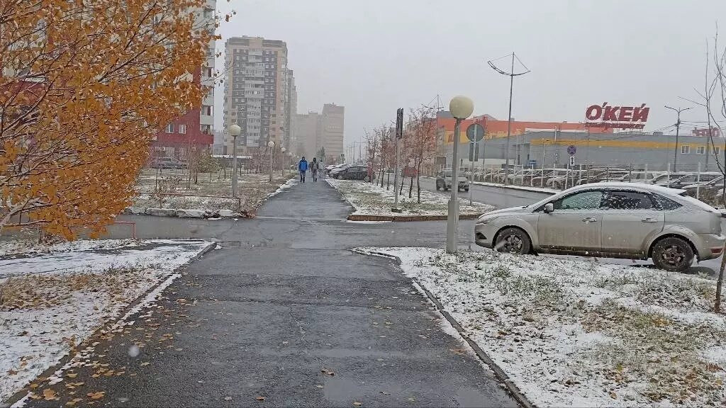     Дайджест событий за 24 октября в Тюменской области.