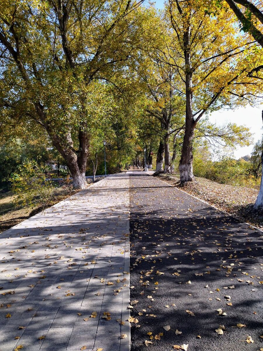 Манящая дорога вдаль.