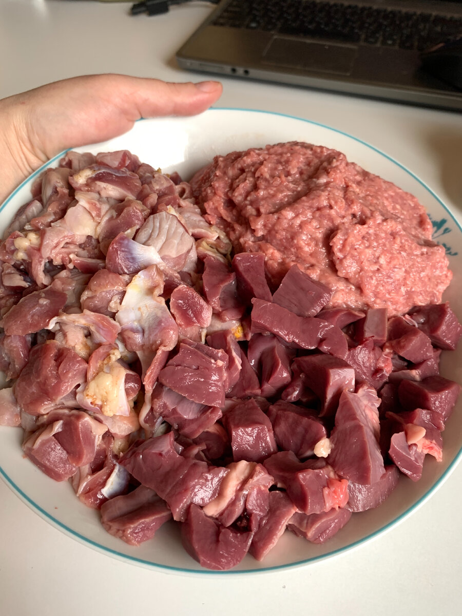 На первых этапах приучения к мясным миксам, костно-хрящевую часть можно и нужно перемалывать в фарш, в дальнейшем смешивая ее с остальным мясом в миксе. И котятам до 1,5-2х месяцев, и взрослым которые ранее никогда не ели костные части. По мере адаптации желудка к новому продукту, увеличиваем куски подачи, просто мелко режем например куриные шейки на тонкие колечки, потом просто на суставы, а потом и с целой куриной шейкой справится даже котёнок 3-4 месяцев. Дело практики)