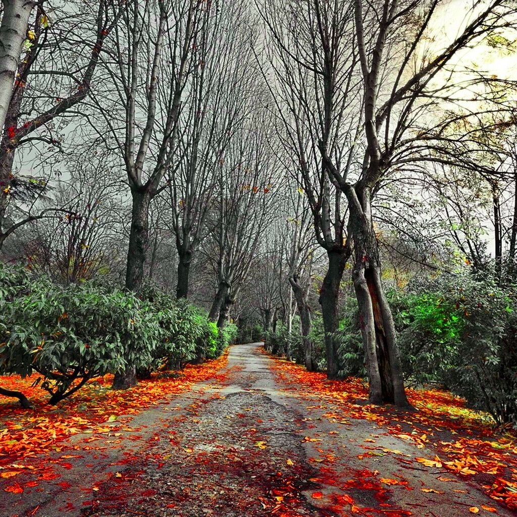 Листья опали, а дебюты продолжаются