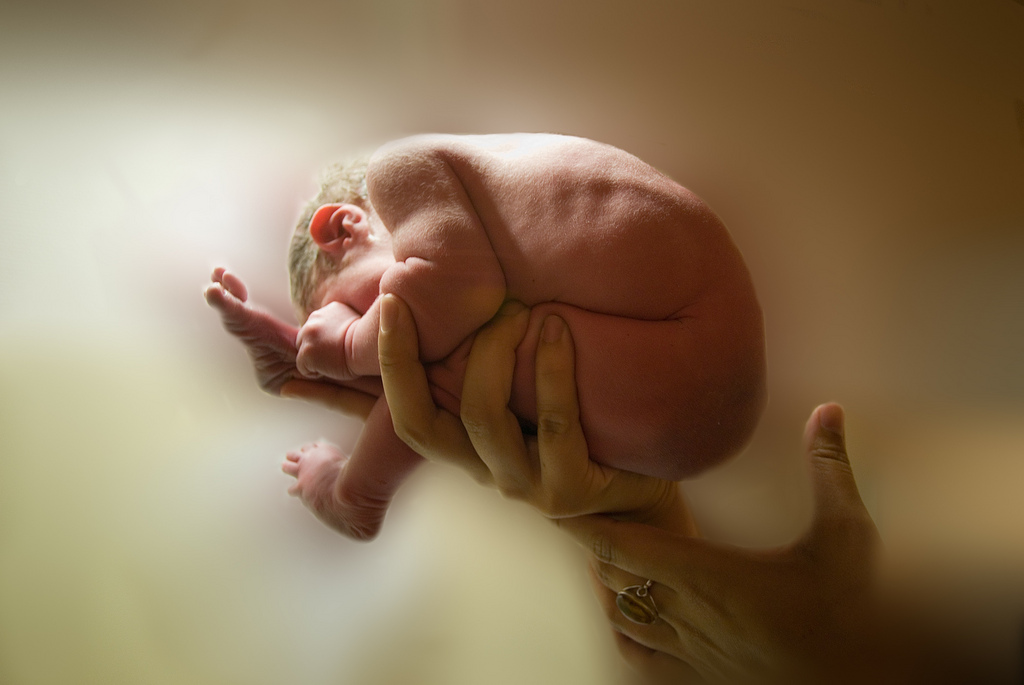 Видео рождение жизни. Младенец в утробе. Малыш в утробе матери.