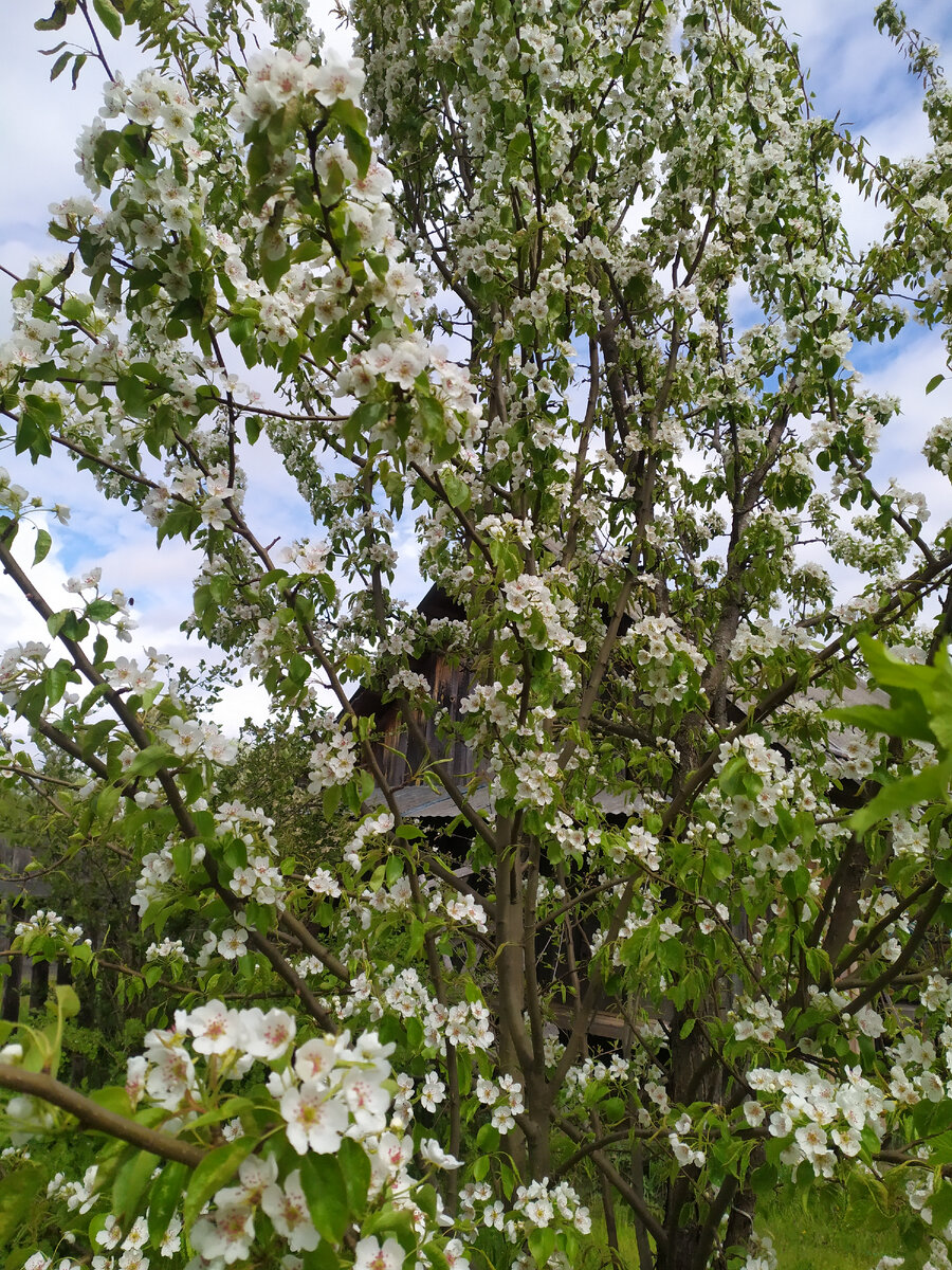 Не нашла подходящей картинки