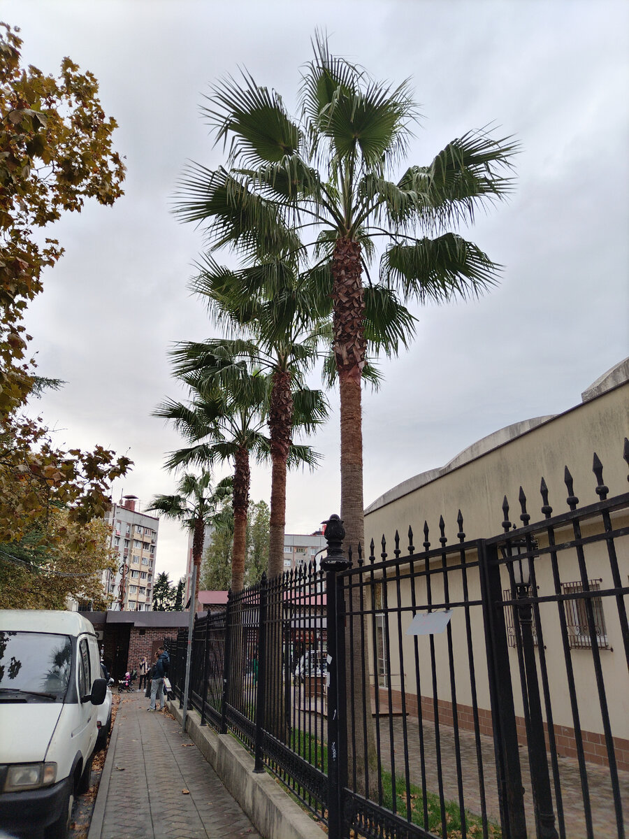 Адлер 27.10.23.