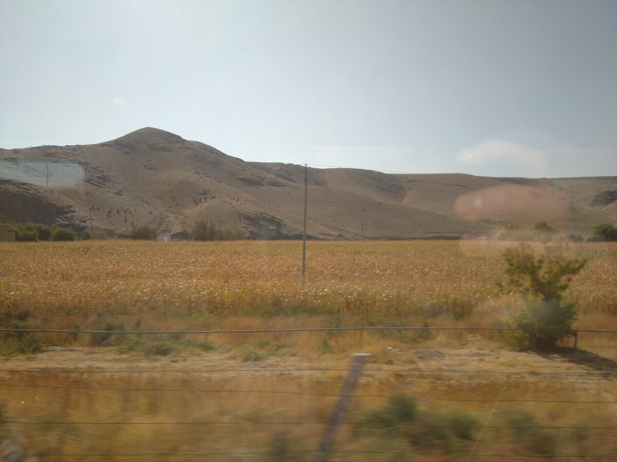 ÐÐ¾ÑÐ»Ðµ ÑÐ¾Ð³Ð¾, ÐºÐ°Ðº Ñ Ð¿ÑÐ¾ÐµÑÐ°Ð» Ð¸Ð· Ð¡Ð°Ð¼Ð°ÑÐºÐ°Ð½Ð´Ð° Ð² Ð¥Ð¸Ð²Ñ Ð½Ð° ÑÑÐ°ÑÐ¾Ð¼ Ð¿Ð¾ÐµÐ·Ð´Ðµ Ð² ÑÐ±Ð¸ÑÐ¾Ð¼ Ð¿Ð»Ð°ÑÐºÐ°ÑÑÐµ, ÑÐµÑÐ¸Ð», ÑÑÐ¾ Ð½ÑÐ¶Ð½Ð¾ Ð² ÐºÐ°ÑÐµÑÑÐ²Ðµ ÐºÐ¾Ð¼Ð¿ÐµÐ½ÑÐ°ÑÐ¸Ð¸ Ð¿ÑÐ¾ÐºÐ°ÑÐ¸ÑÑÑÑ Ð½Ð° ÑÑÐ¼-ÑÐ¾ Ð±Ð¾Ð»ÐµÐµ ÐºÐ¾Ð¼ÑÐ¾ÑÑÐ½Ð¾Ð¼ Ð¸ Ð¿ÑÐ¸ÑÑÐ½Ð¾Ð¼.-14