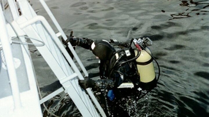 ФОТО: VICTOR LISITSYN/GLOBALLOOKPRESS