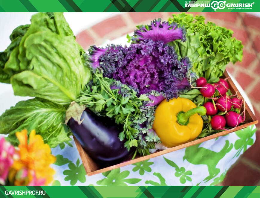 МОДА НА БИО-ОВОЩИ НИКУДА НЕ ДЕЛАСЬ, А ВОТ ЗАРУБЕЖНЫЕ ПРОИЗВОДИТЕЛИ – ДА