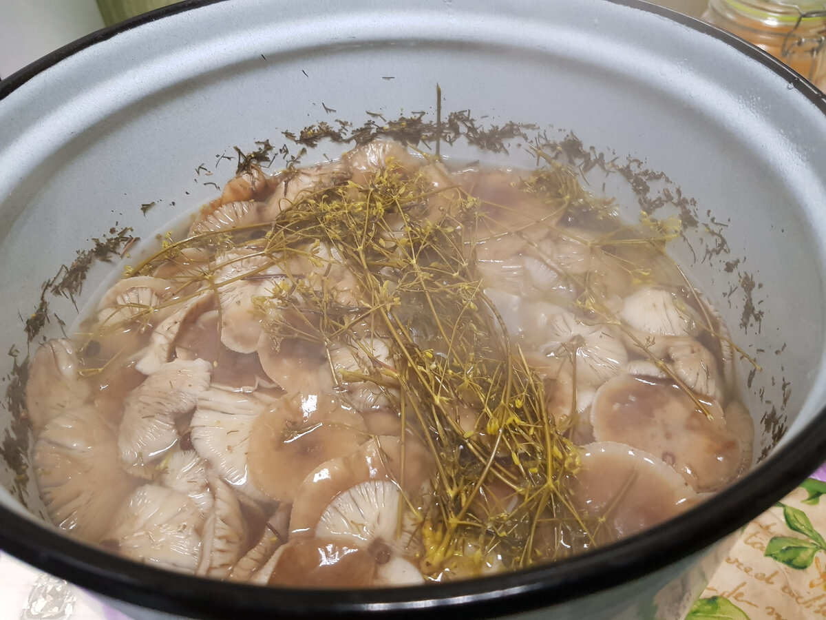 Такое вот варево