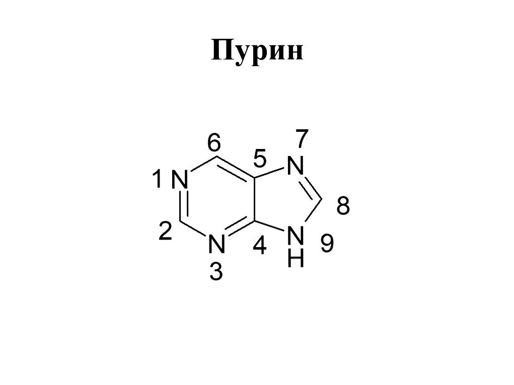 Система пурина