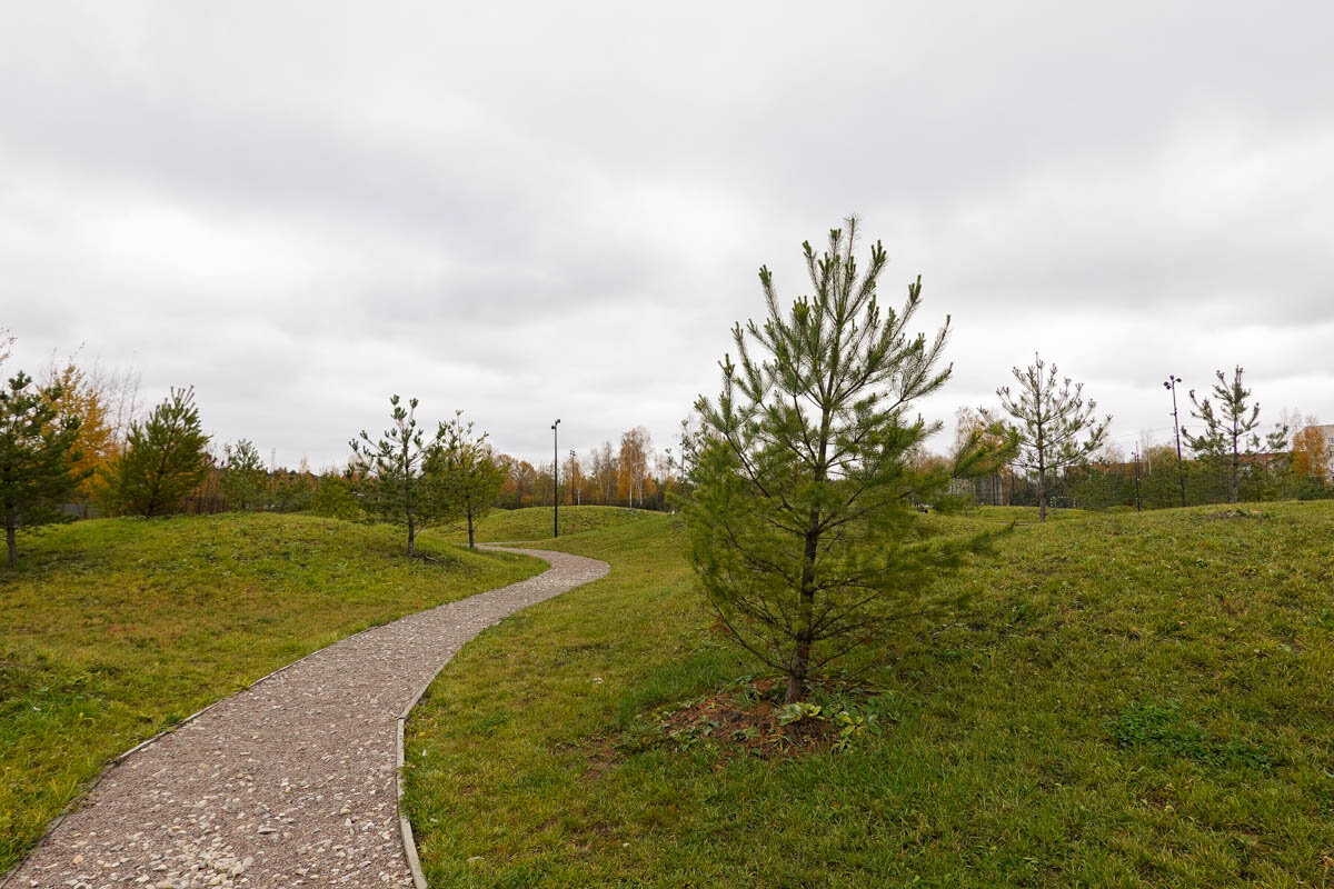 Большая беда Ликино-Дулево, которая делает жизнь в городе практически  невыносимой | Самый главный путешественник | Дзен