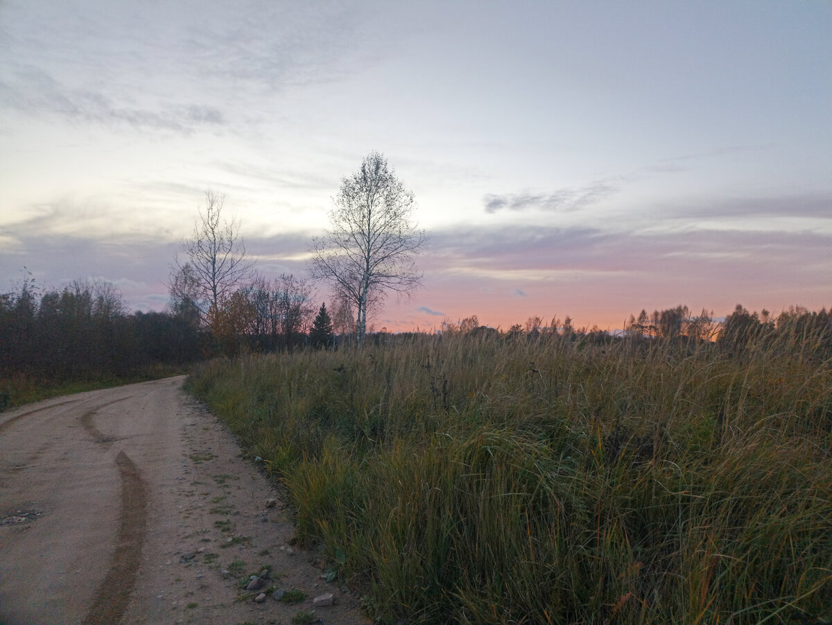 Лучшая дорога это пустая дорога. На такой дороге не нужно никого обгонять
