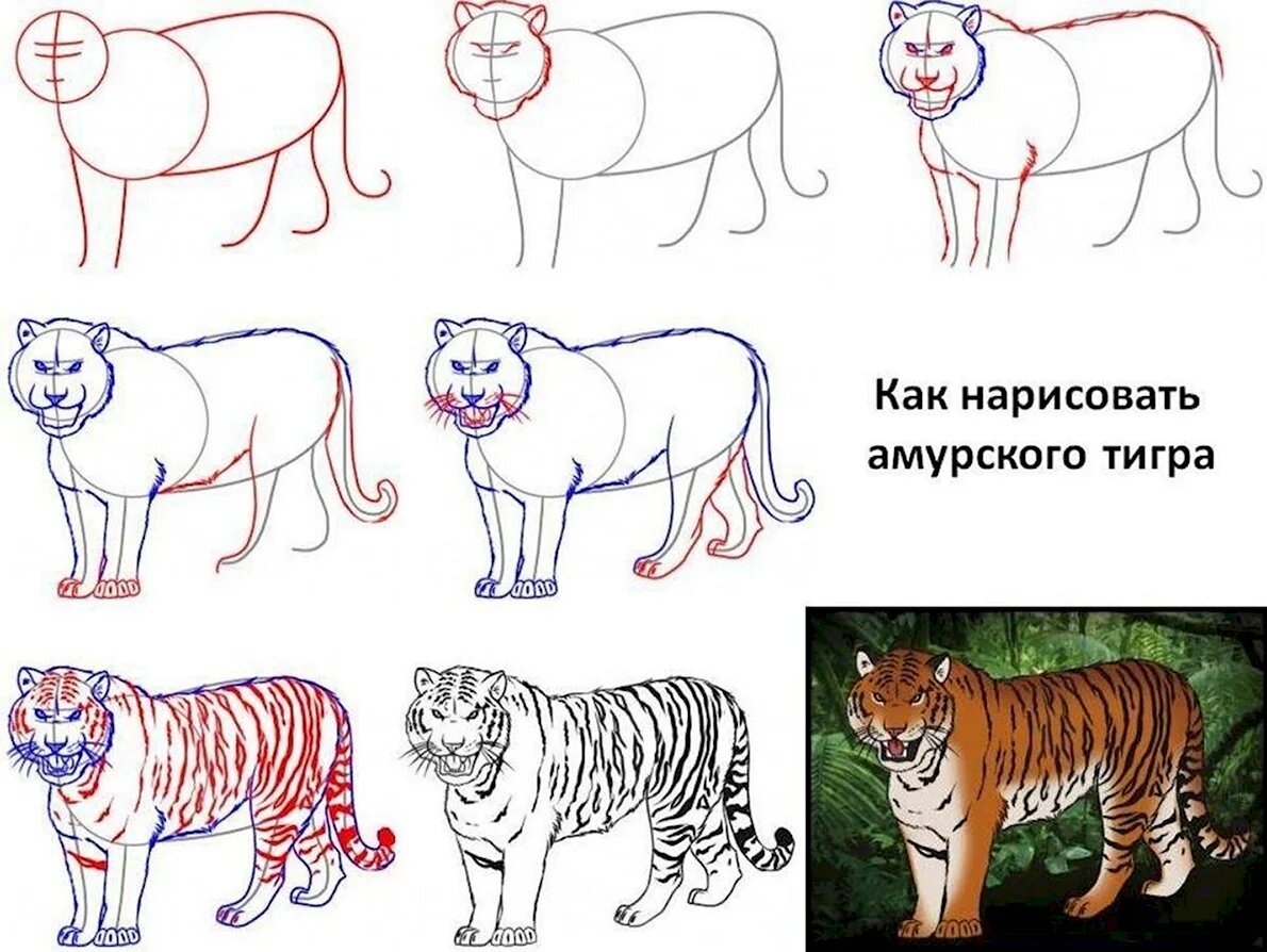 Тигр рисунок легкий мультяшный