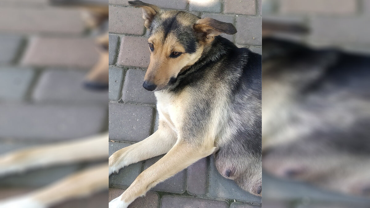 фото из архива автора