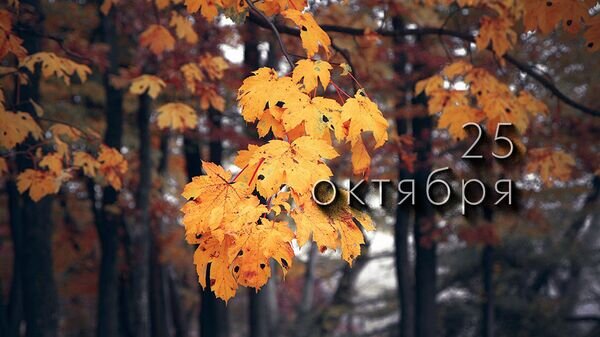    © Photo : Valiphotos: Pexels