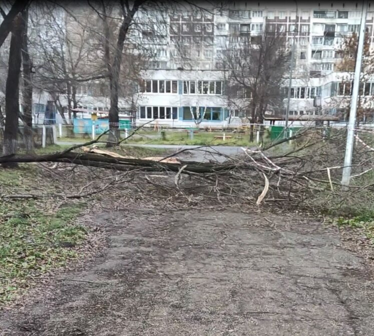 Сделано в новокузнецке. Стихия в Новокузнецке 19 11 23.