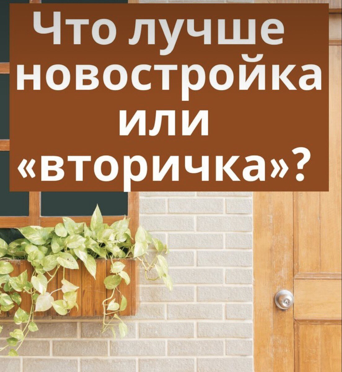 Недвижимость Real estate