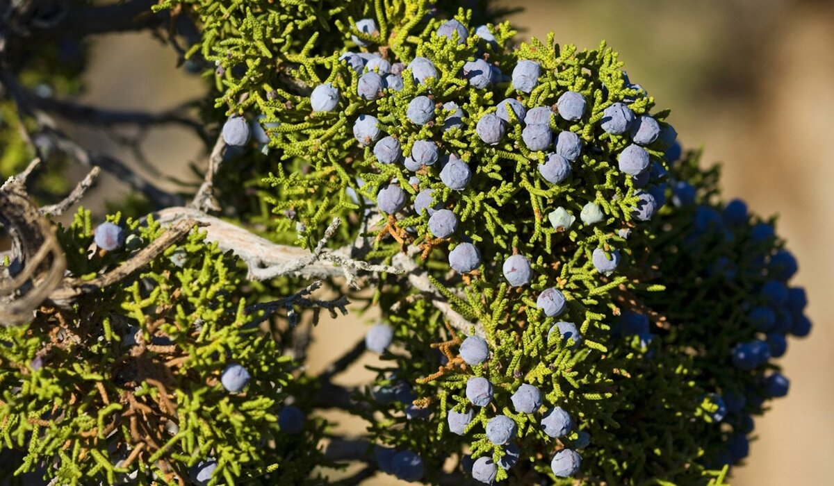    Фото: A. Held/blickwinkel/www.globallookpress.com