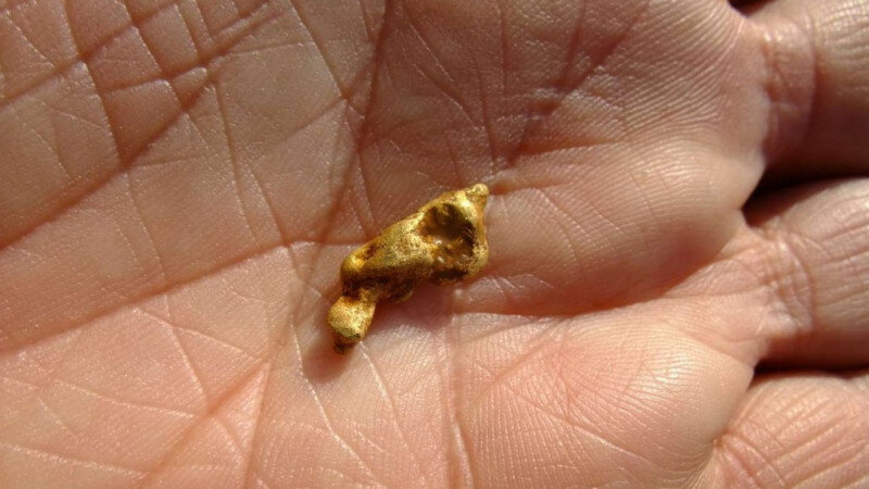     Добыча россыпного золота на Алтайском прииске. regionalcenter2.ru