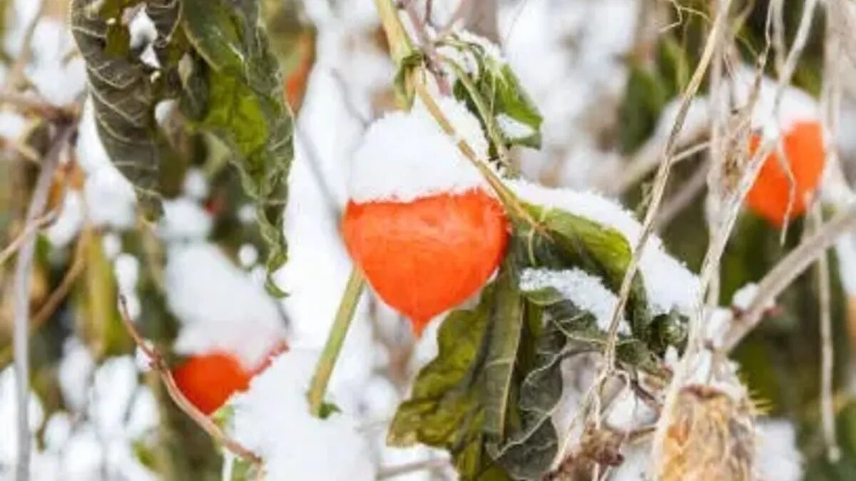 День народного единства, значимый праздник для России. Фото: pixabay.com