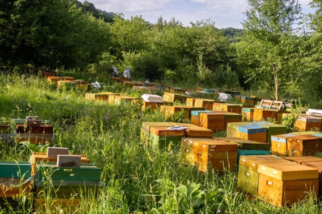 Фото из интернета и находится в свободном доступе