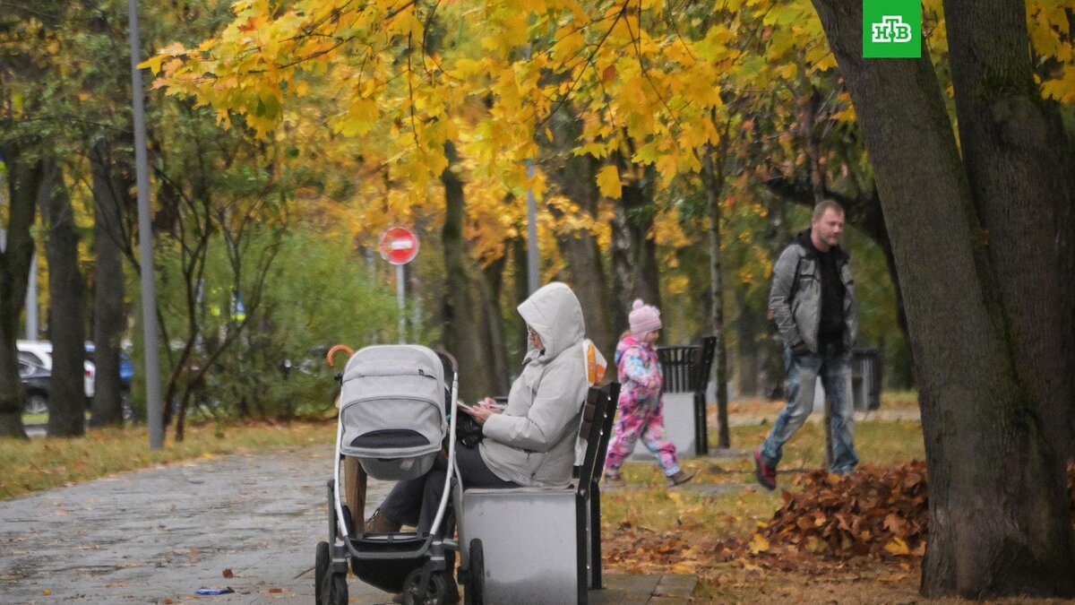    Фото: РИА Новости © 2023, Владимир Федоренко