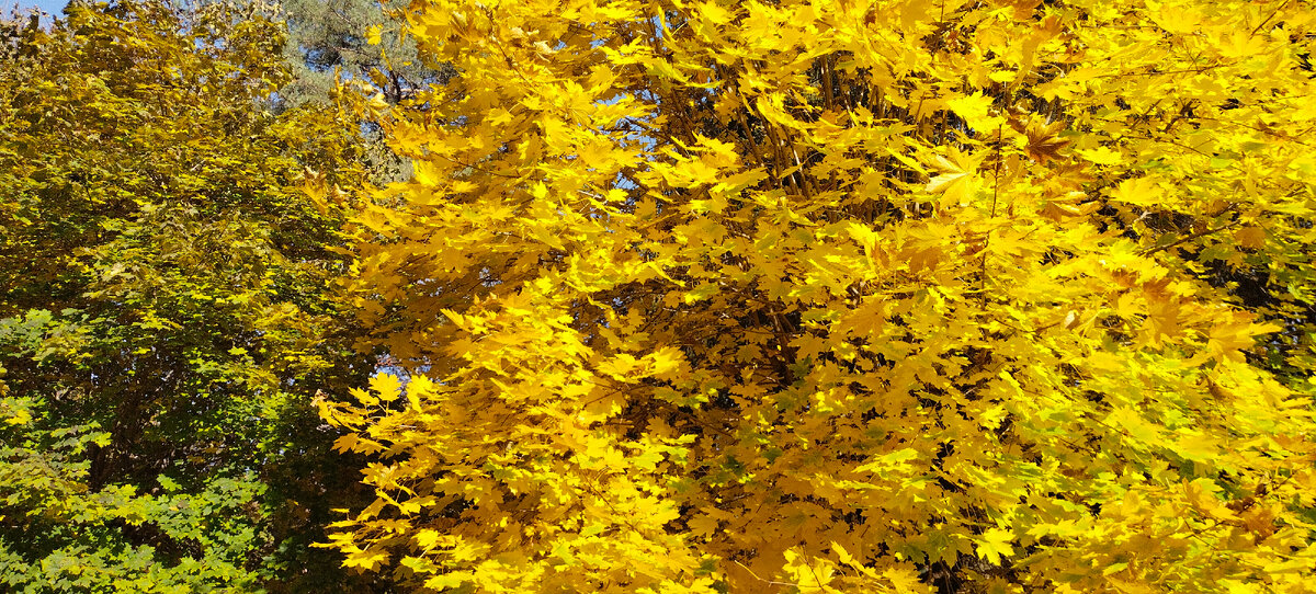 Фото автора канала