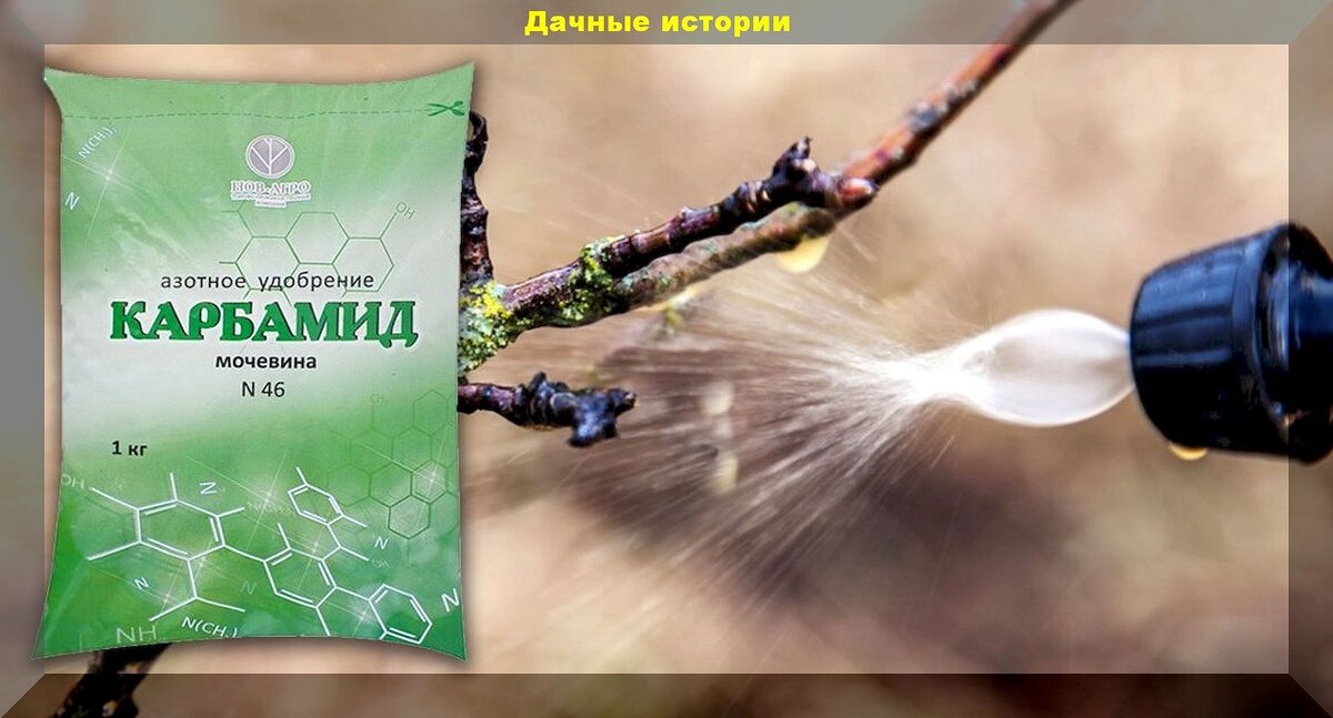 https://vk.com/photo-159774511_457262221