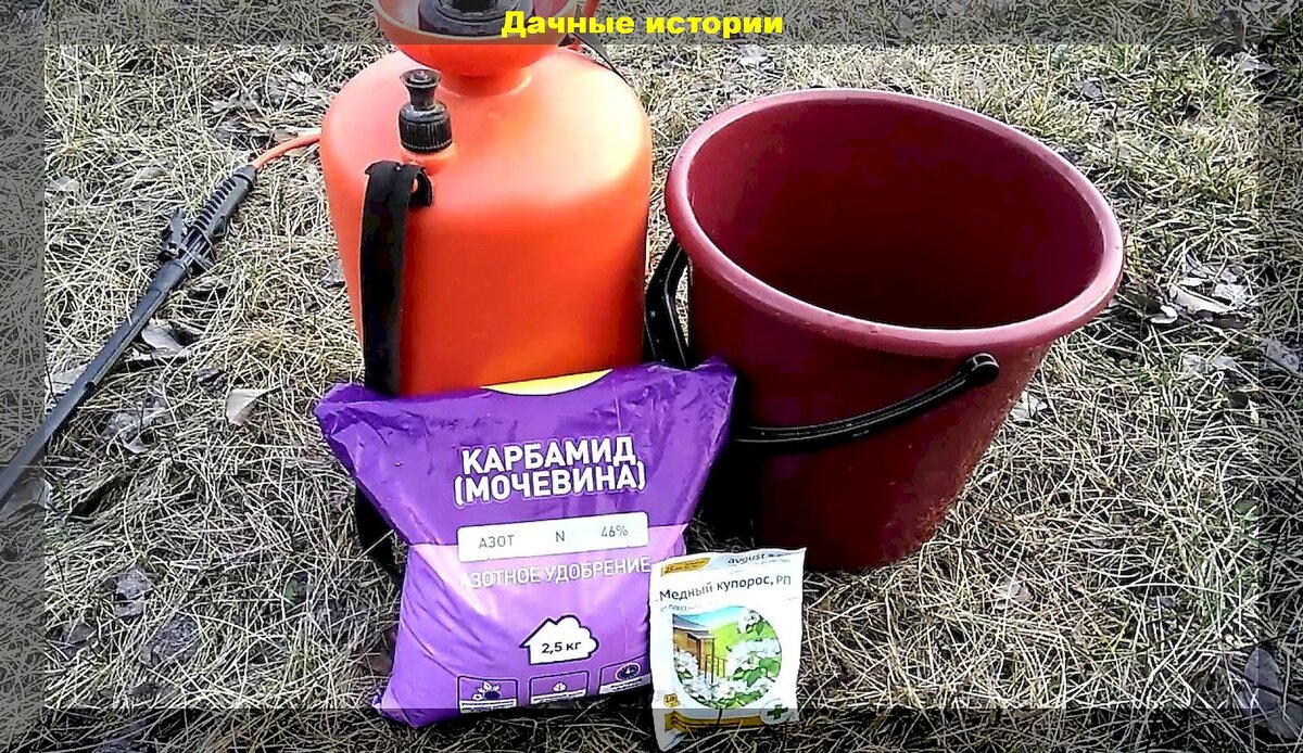https://vk.com/photo-159774511_457262222