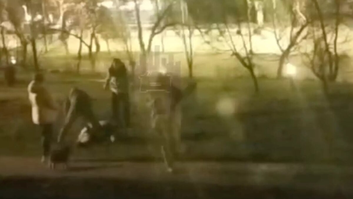     В Красноярске двое парней и девушка избили другого жителя. Сейчас их ищет полиция.