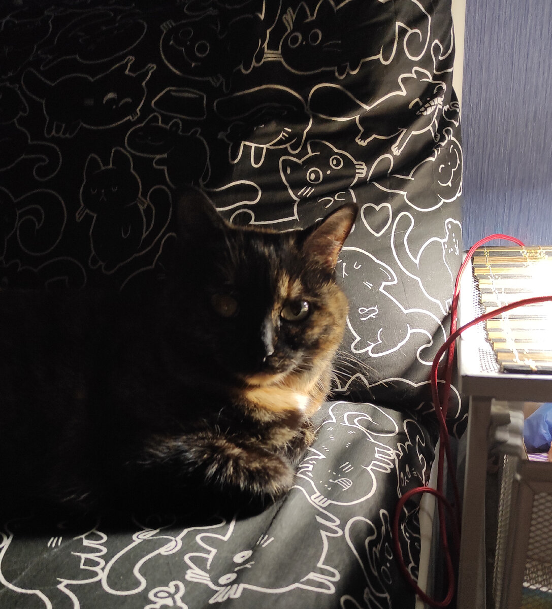 Ждёт меня. Готовит мурчало. 