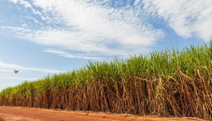    В Бразилии идет рост спроса на дроны для точного опрыскивания гербицидами